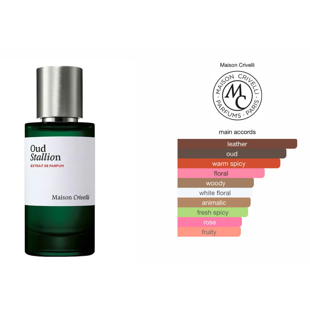 Oud Stailion - Extrait de Parfum 50ML