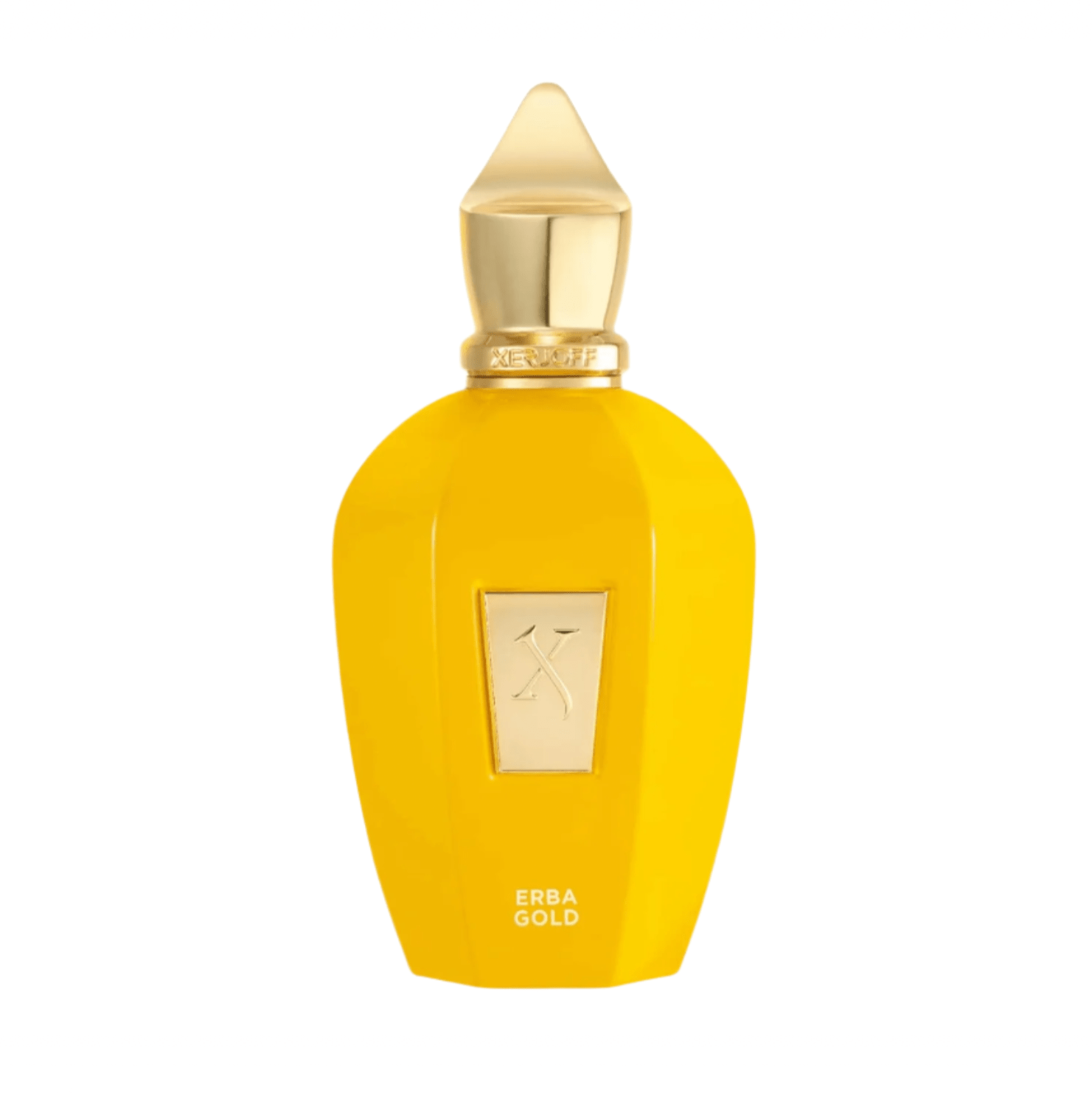 Erba Gold - Eau de Parfum 100ML - Magnifique