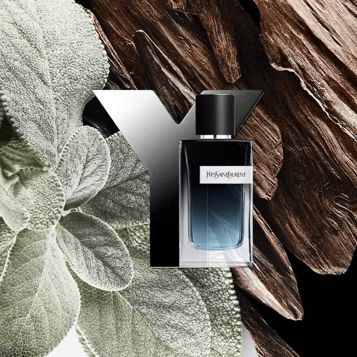 Y - Eau de Parfum 100ML - Magnifique